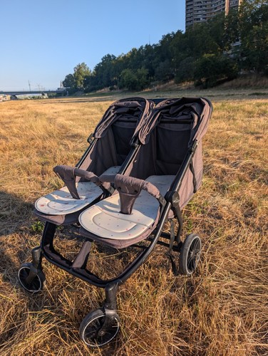 Zwillingswagen